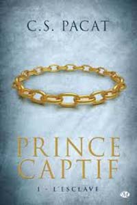 Miniature - Prince Captif t1: L’esclave