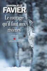 Miniature - Le courage qu’il faut aux rivières