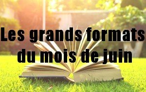 Sorties du mois de JUIN  – grands formats